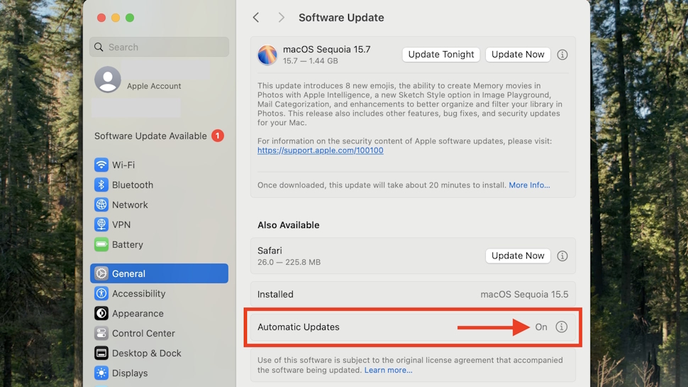How to access the Automatic Updates page on macOS