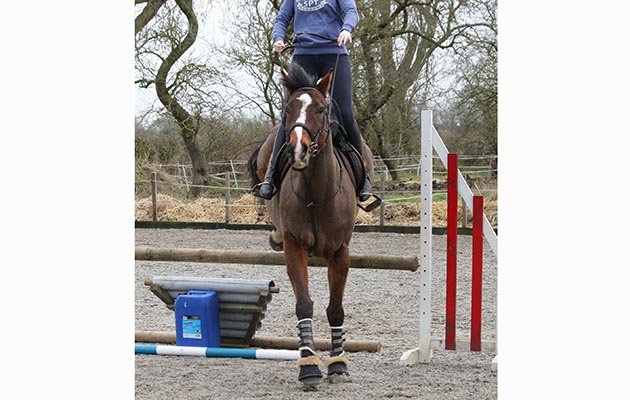 &ldquo;This is me riding Sam. He decided to refuse last minute, then to cat leap it from a standstill. I stayed in the saddle and carried on&rdquo; &mdash; Eleanor Hinton