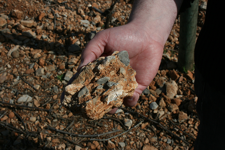 Soil Terrasses du Larzac benchlands