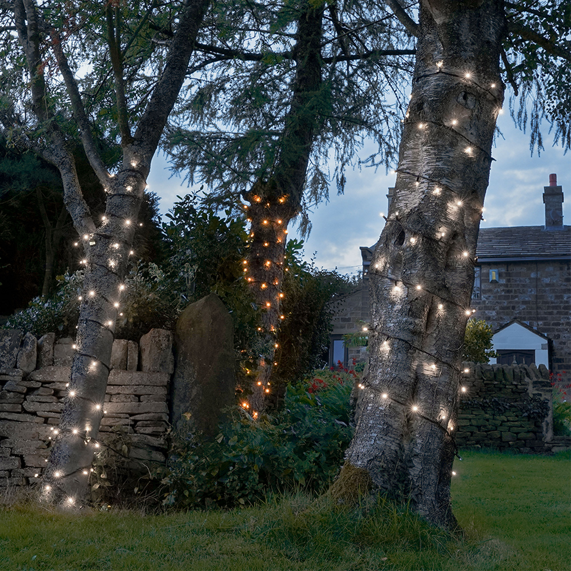 outdoor with string light and tree lighting