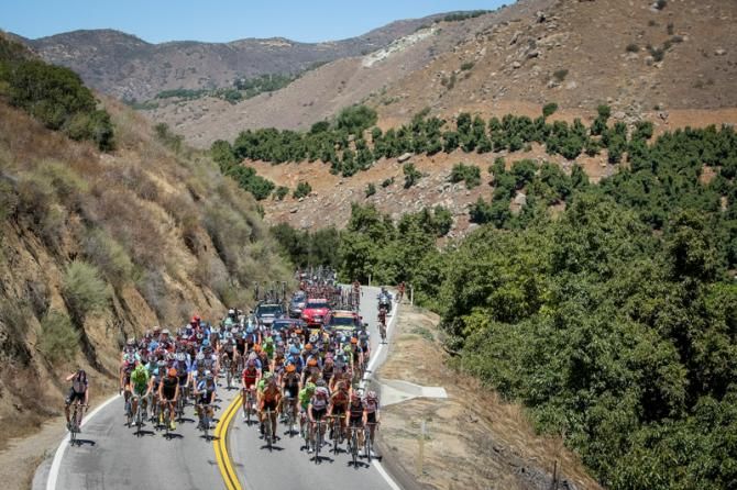The bunch hits the first climb of the day.