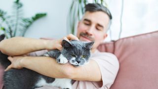 Man stroking cat on couch
