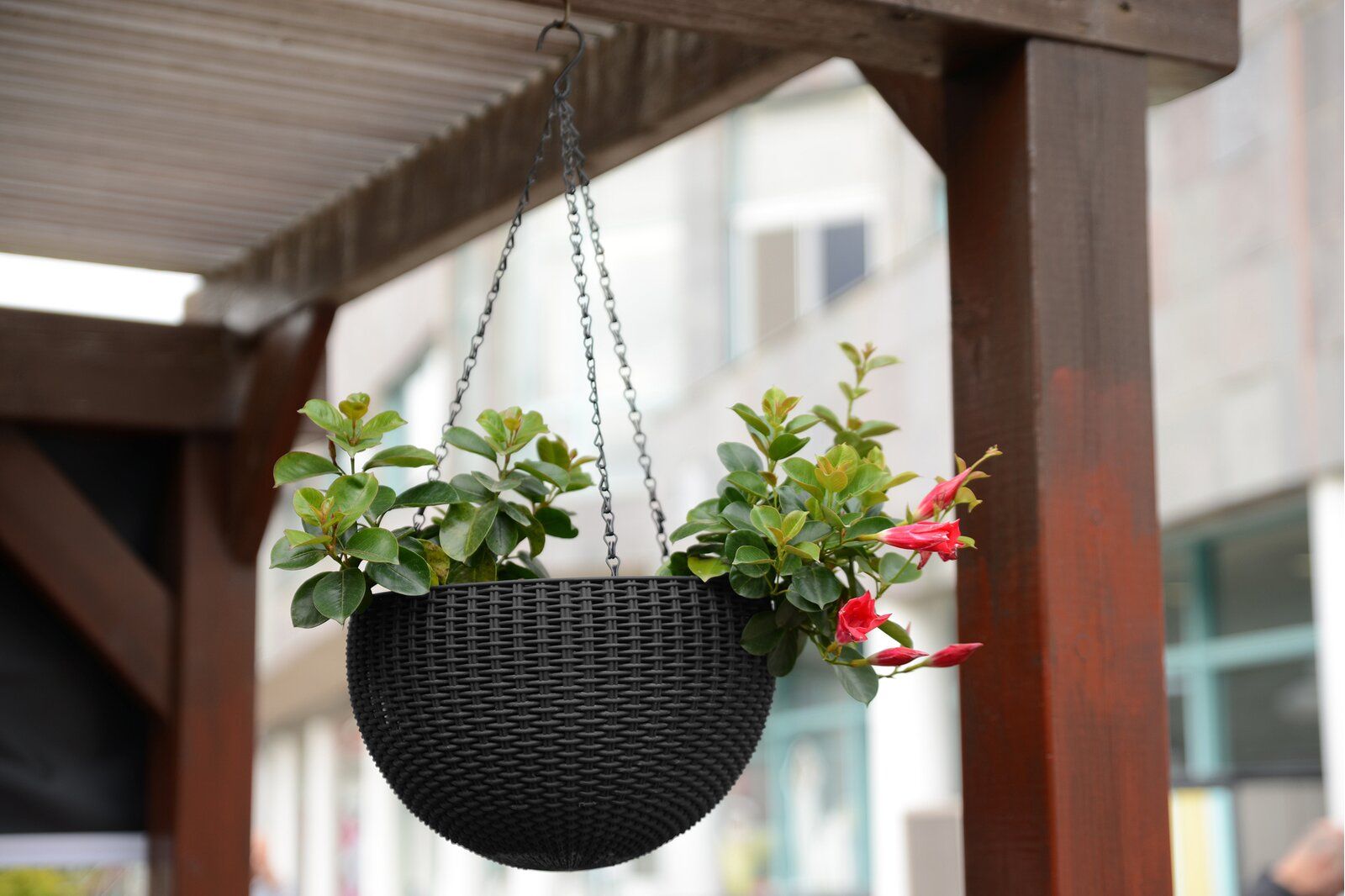 hanging air planter