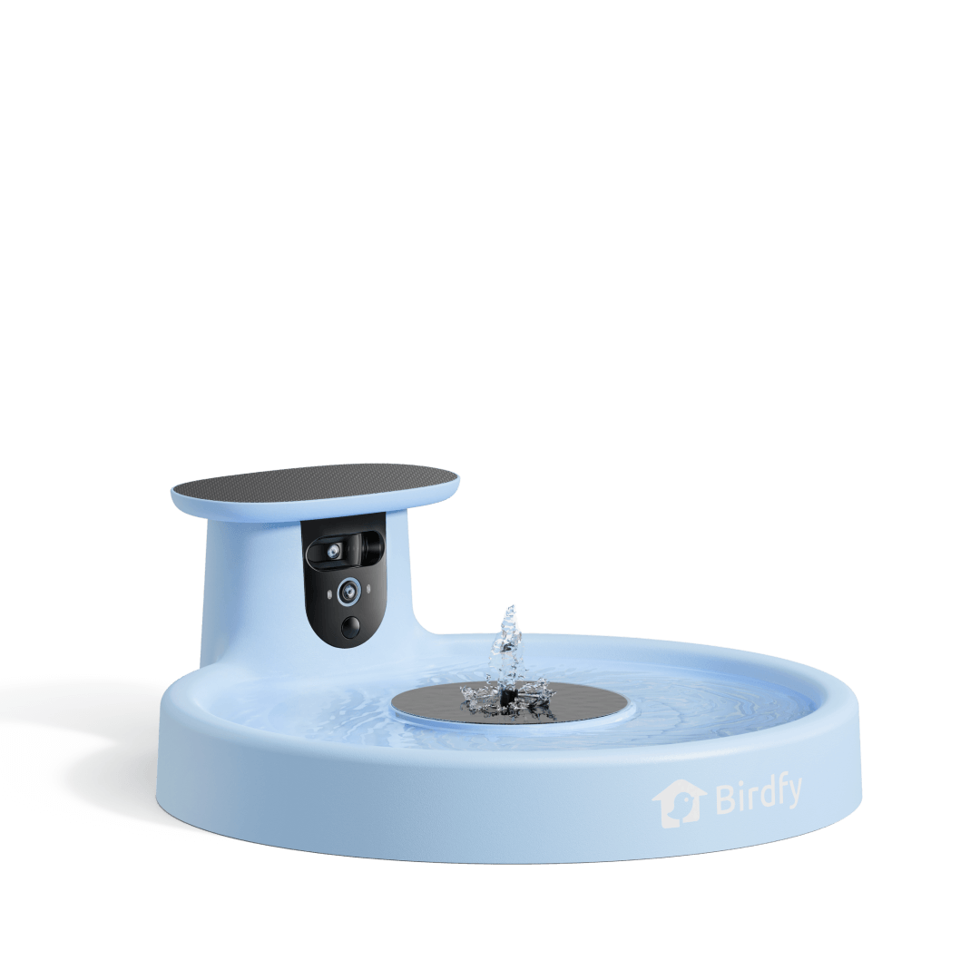 Birdfy Bath Pro Best Solar Bird Bath With Ai Camera and Fountain