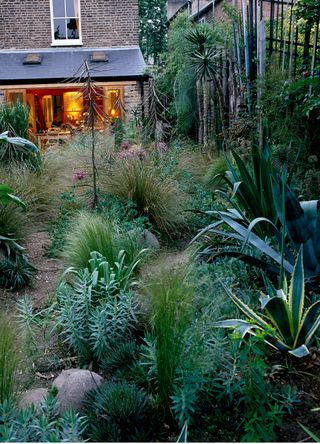 garden with cacti and grasses