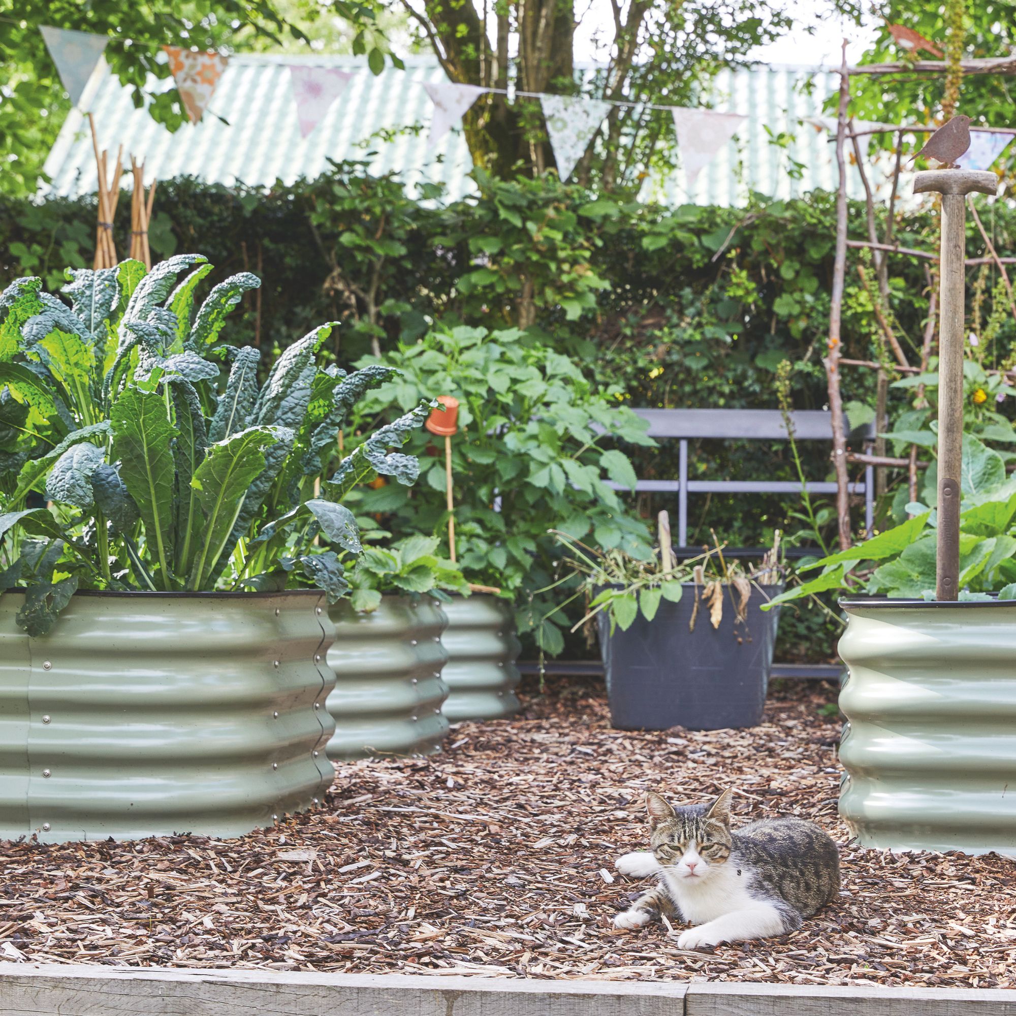 Vegetable patch with metal raised planters filled with vegetables, and a cat laying on the floor in between them