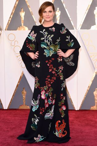 Amy Poehler At The Oscars 2016