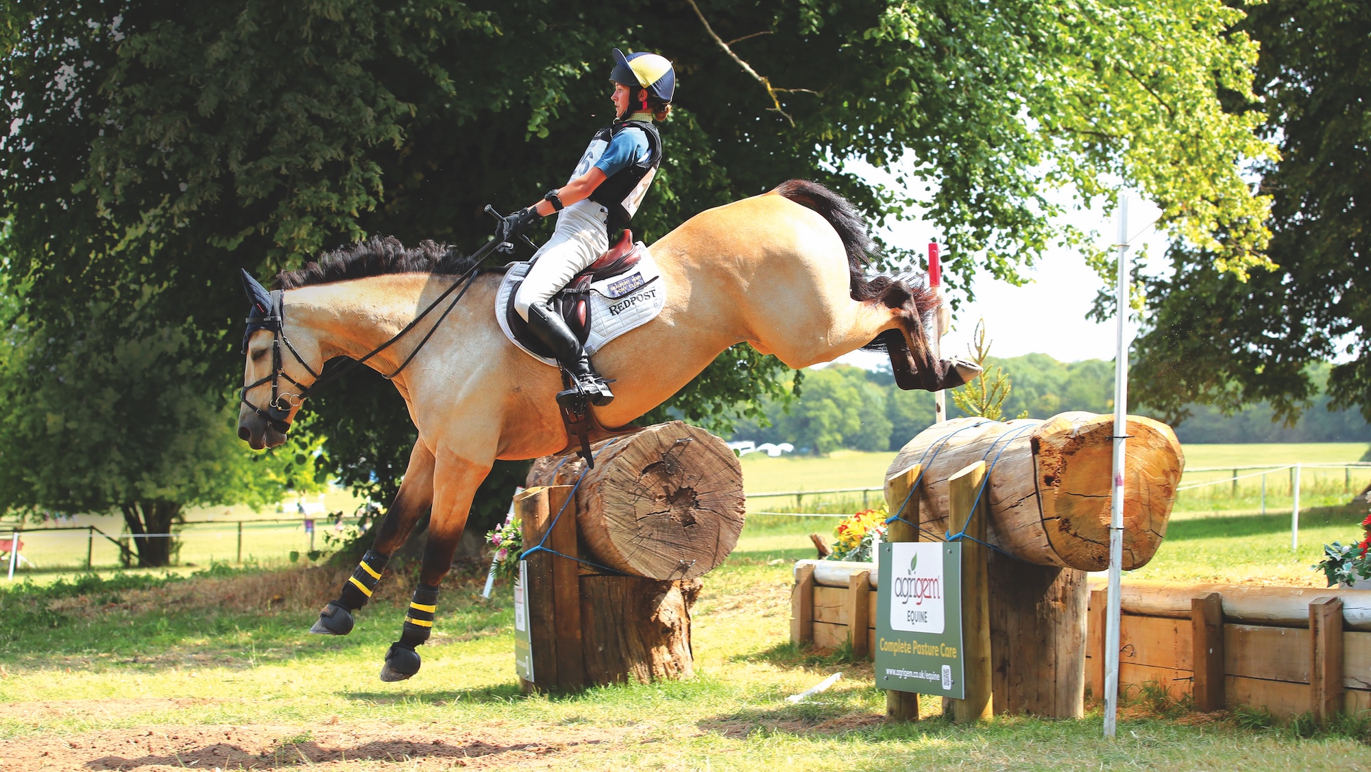 Dun pony jumping cross-country fence in tetrathlon