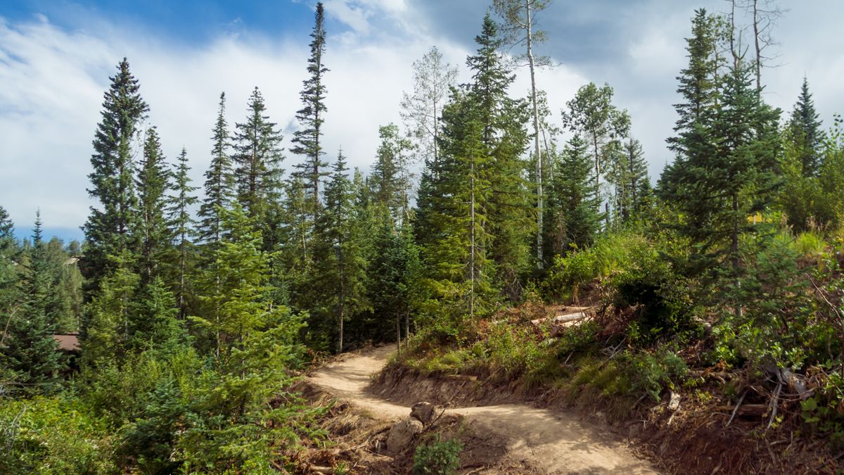 Mt Werner in Steamboat Springs, Colorado