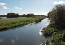 River-Nene.jpg