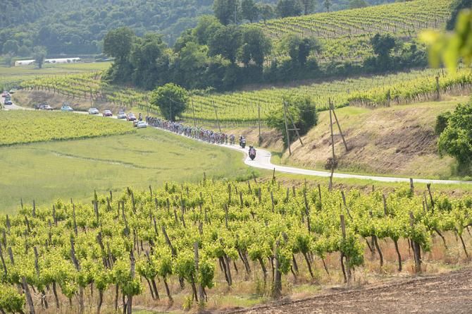 The peloton on stage 17 of the Giro