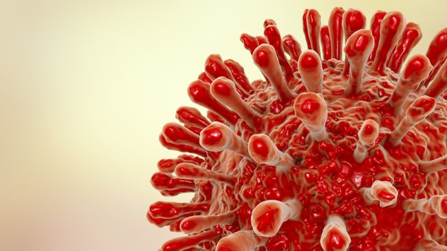 HIV may hide out in brain cells, ready to infect other organs