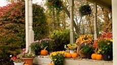 Fall porch full of flowers