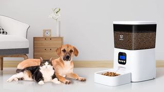 Are automatic feeders a good idea? Dog and cat sat inside next to a pet feeder