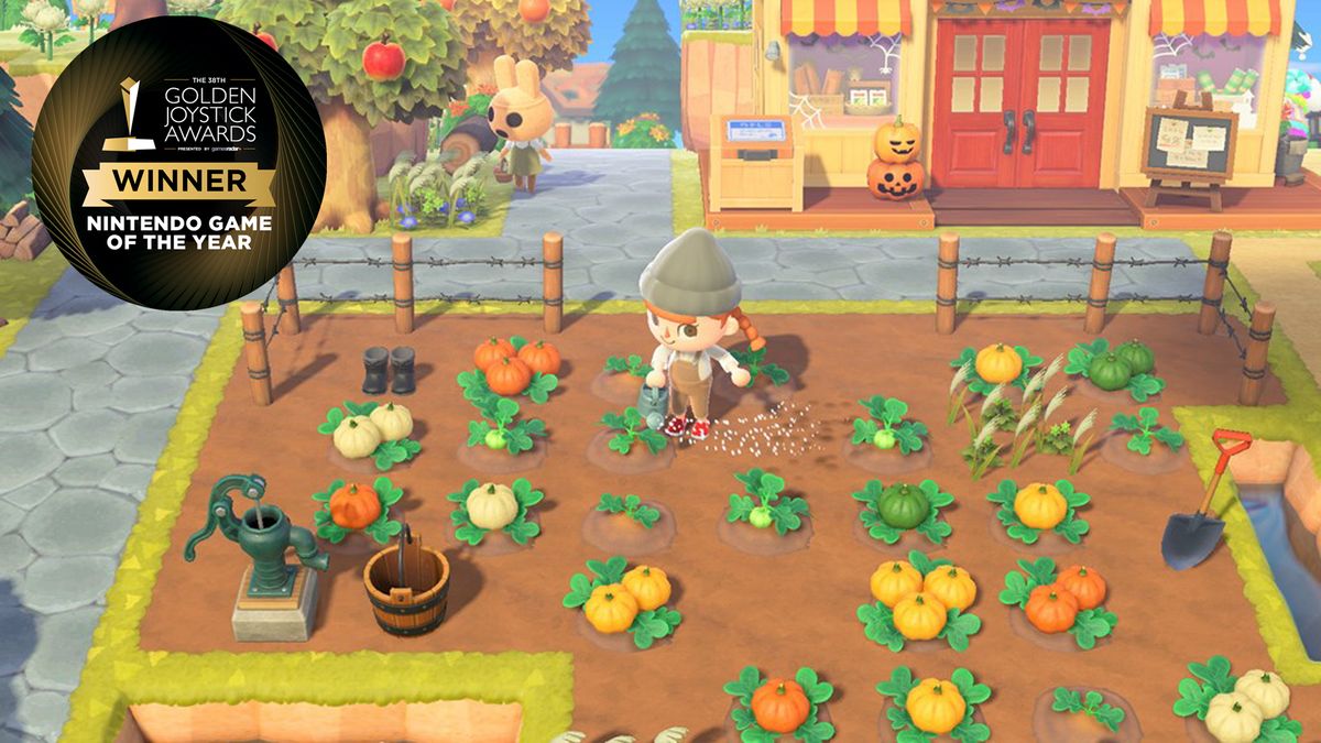 Animal Crossing: New Horizons ganha como o Jogo do Ano no Dengeki Game  Awards 2020