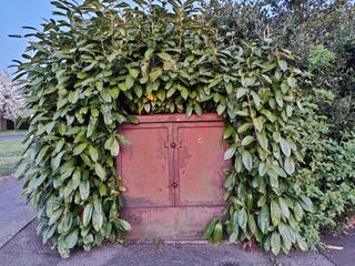 There's a good level of detail and true-to-life color in this shot