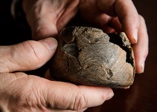This small clay vessel was made in eastern Oklahoma but found at Cahokia. It was previously interpreted as a trade item, but now researchers say it may have been brought to Cahokia by an immigrant in the 12th century A.D.