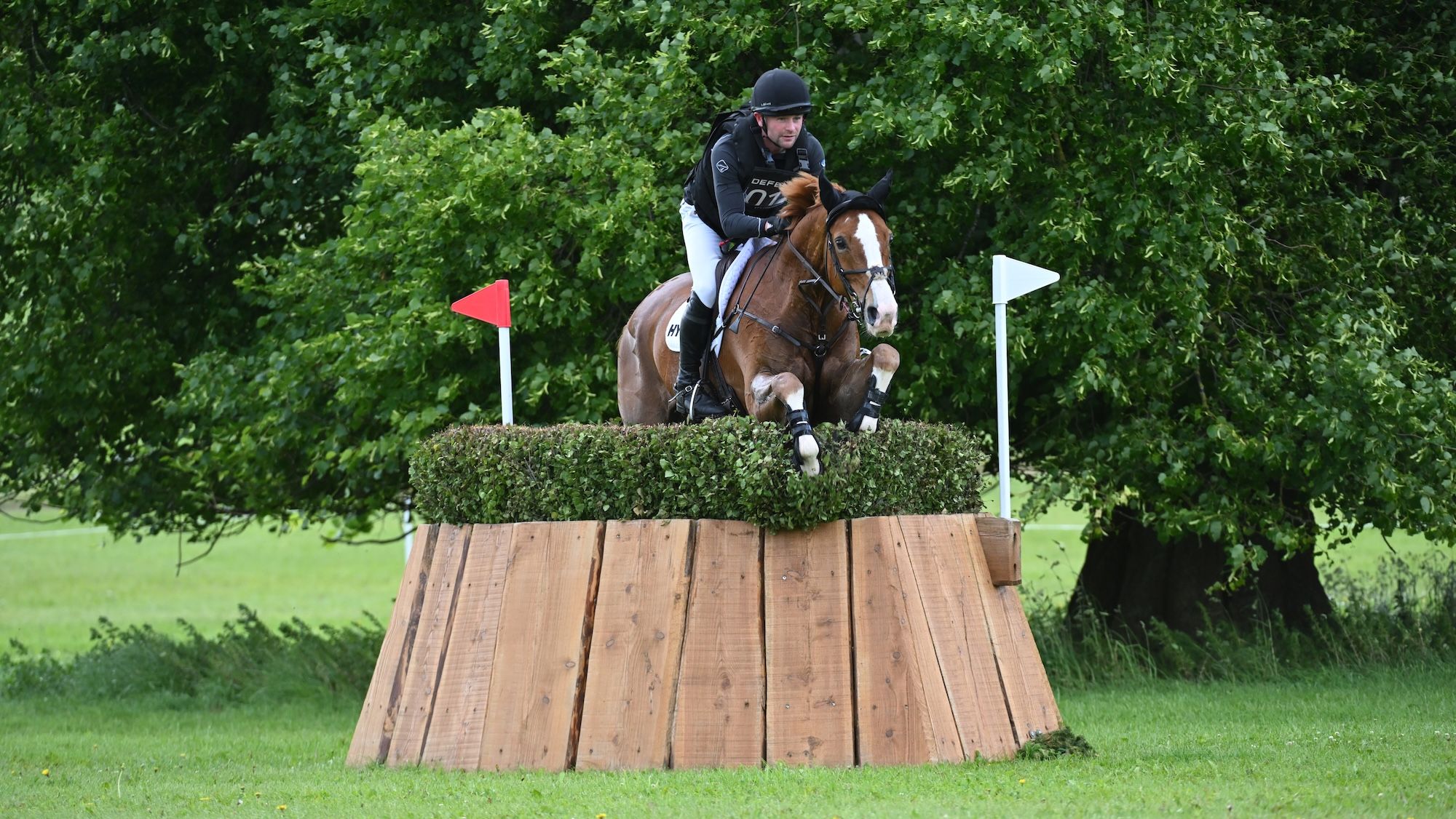 ‘He made my dreams come true’: heartbreak as promising eventer who won legions of fans dies aged 11