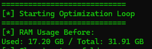 Screenshot of RAM optimizer in use