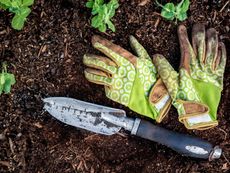 A trowel and gardening gloves in the soil