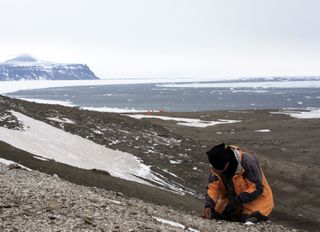 Researchers found the fossilized cocoon at this snowy location in Antarctica.