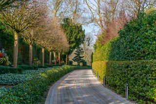 London's most expensive houses: 100m long driveway to heathfield house in highgate