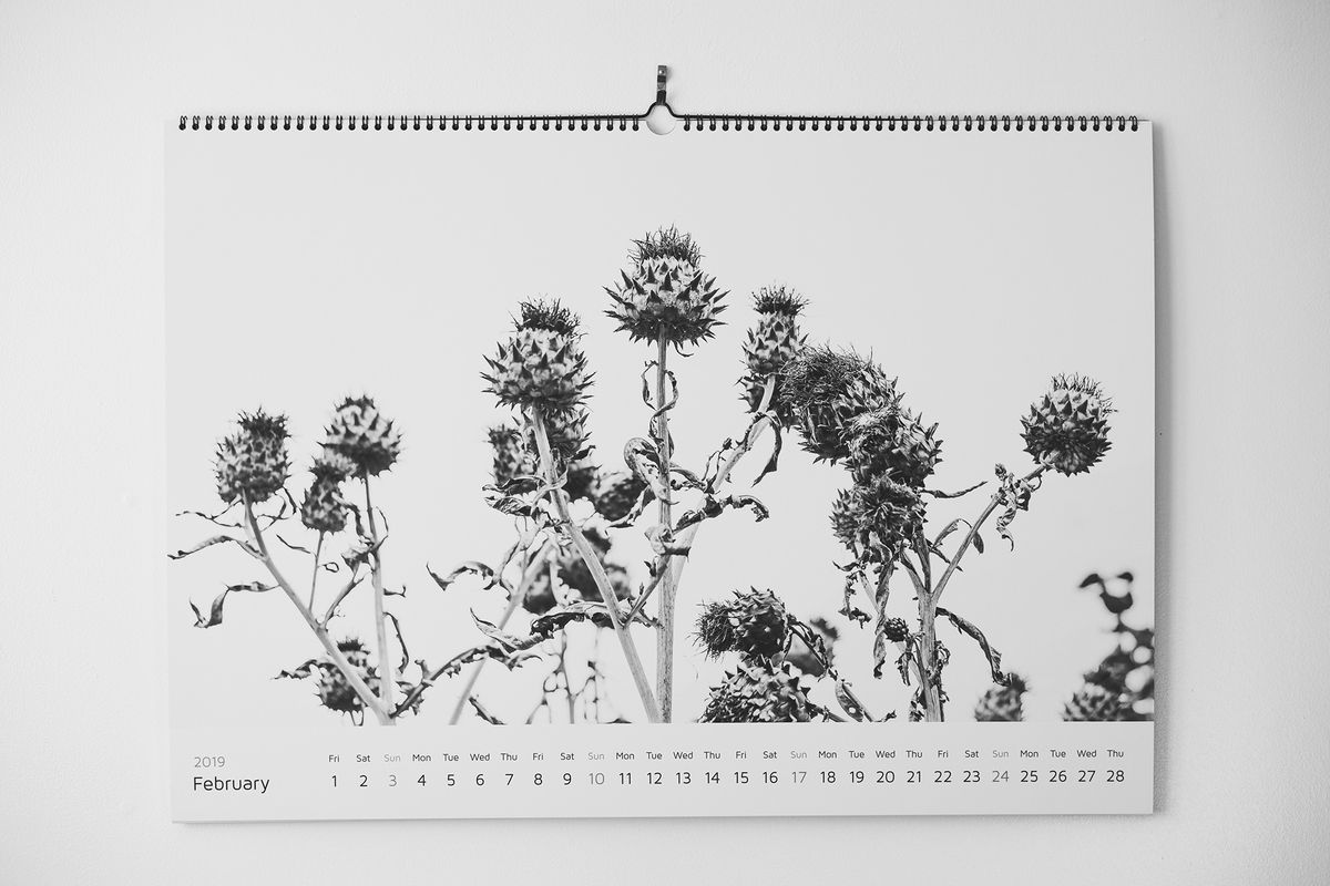 how-to-make-a-photo-calendar-of-the-year-s-best-images-digital-camera