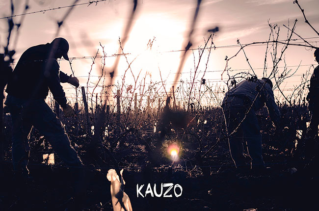Kauzo-DSC7646.jpg