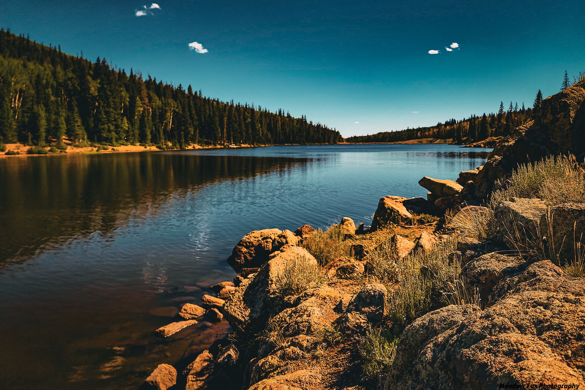 GuruShots - Vivid Landscapes March 2026