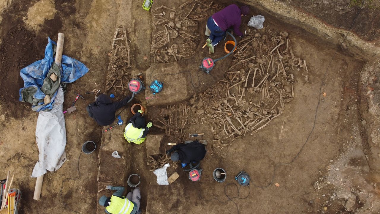 an aerial view of archaeolgoists working at a mass grave with many bones