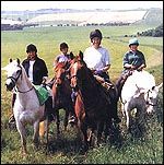 38D8B66F-32D7-4EF7-A0CD-5DA56A914A47.jpg