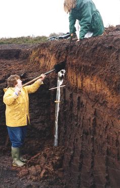 Digging for Alaskan ash in an Irish bog.