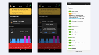 screenshots from Garmin Connect and the Garmin Status page