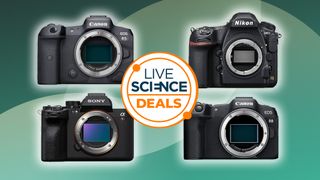 The best camera deals on Sony, Nikon and Canon cameras on a green background
