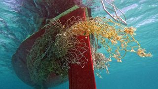 This award-winning photo reveals one of the ocean's most invisible threads: "ghost gear" &ndash; now the competition returns, looking for your images that dive deep beneath the beautiful