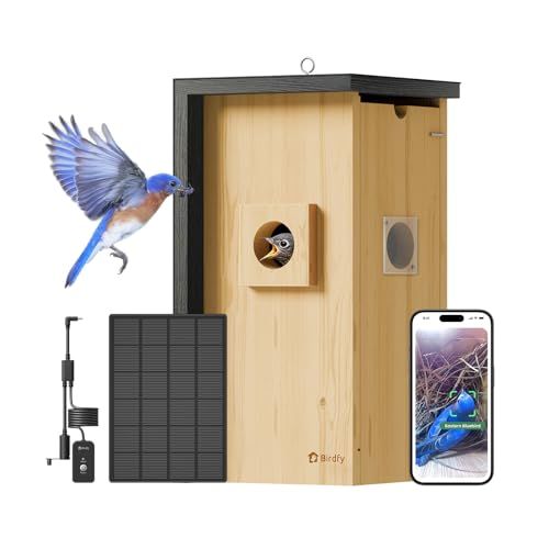 Bird House With Camera & Metal Cladding