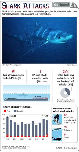 Deaths from shark attack were at their highest level since 1993.