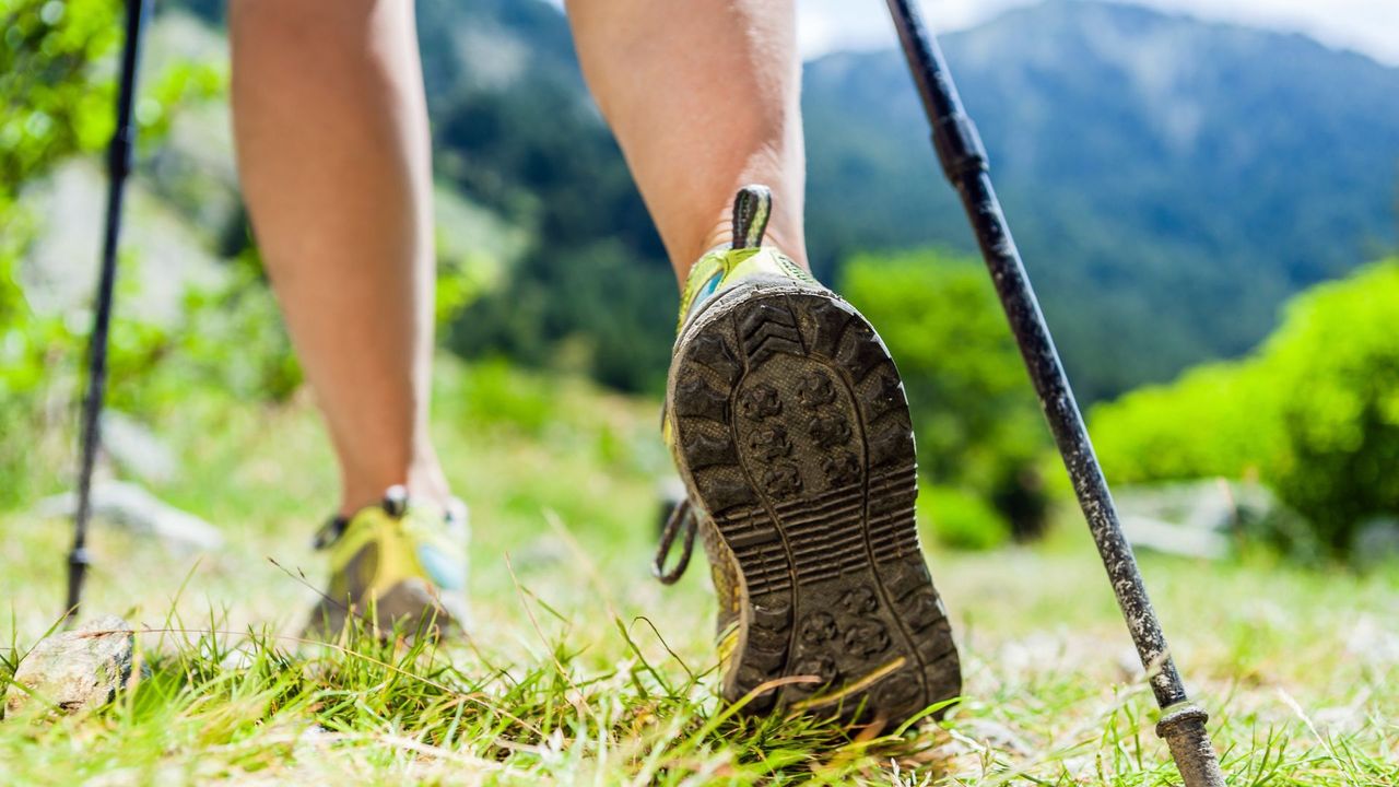 Back of woman&#039;s legs walking with poles