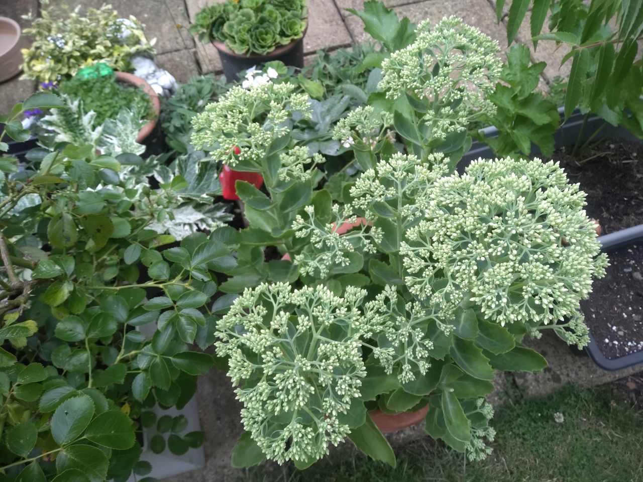 Getax ZX10 G2 camera examples