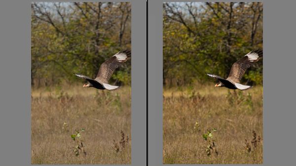 A beginner's guide to how to edit photos | Creative Bloq