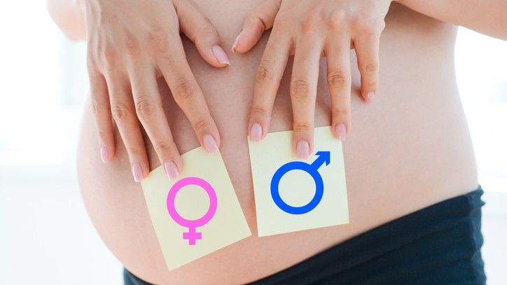 Garlanemalsex - Sex prediction: Am I Having a Boy or Girl? | Live Science