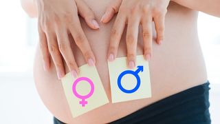A pregnant woman holding notes showing male and female symbols against her belly