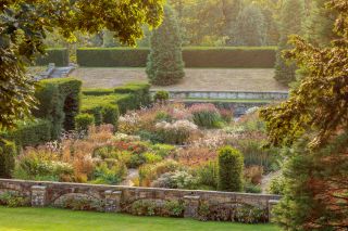 CHATSWORTH, DERBYSHIRE: DESIGN TOM STUART-SMITH: THE MAZE GARDEN PLANTED WITH LATE SUMMER PERENNIALS AND GRASSES, SEPTEMBER, EUPATORIUM, PENNISETUM, WALLED, WALLS