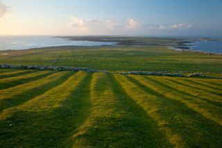 Potato fields in County Mayo, Ireland.