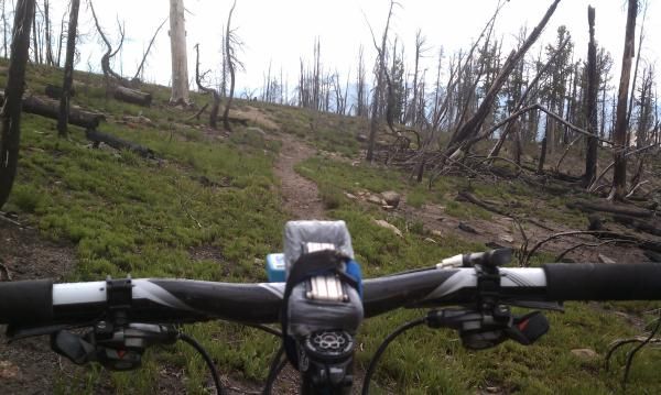 Pristine trail