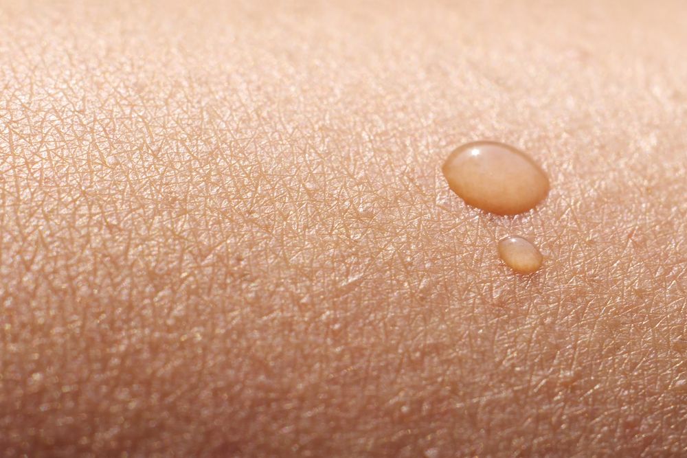Skin The Human Body s Largest Organ Live Science