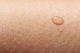 Skin: The Human Body's Largest Organ 