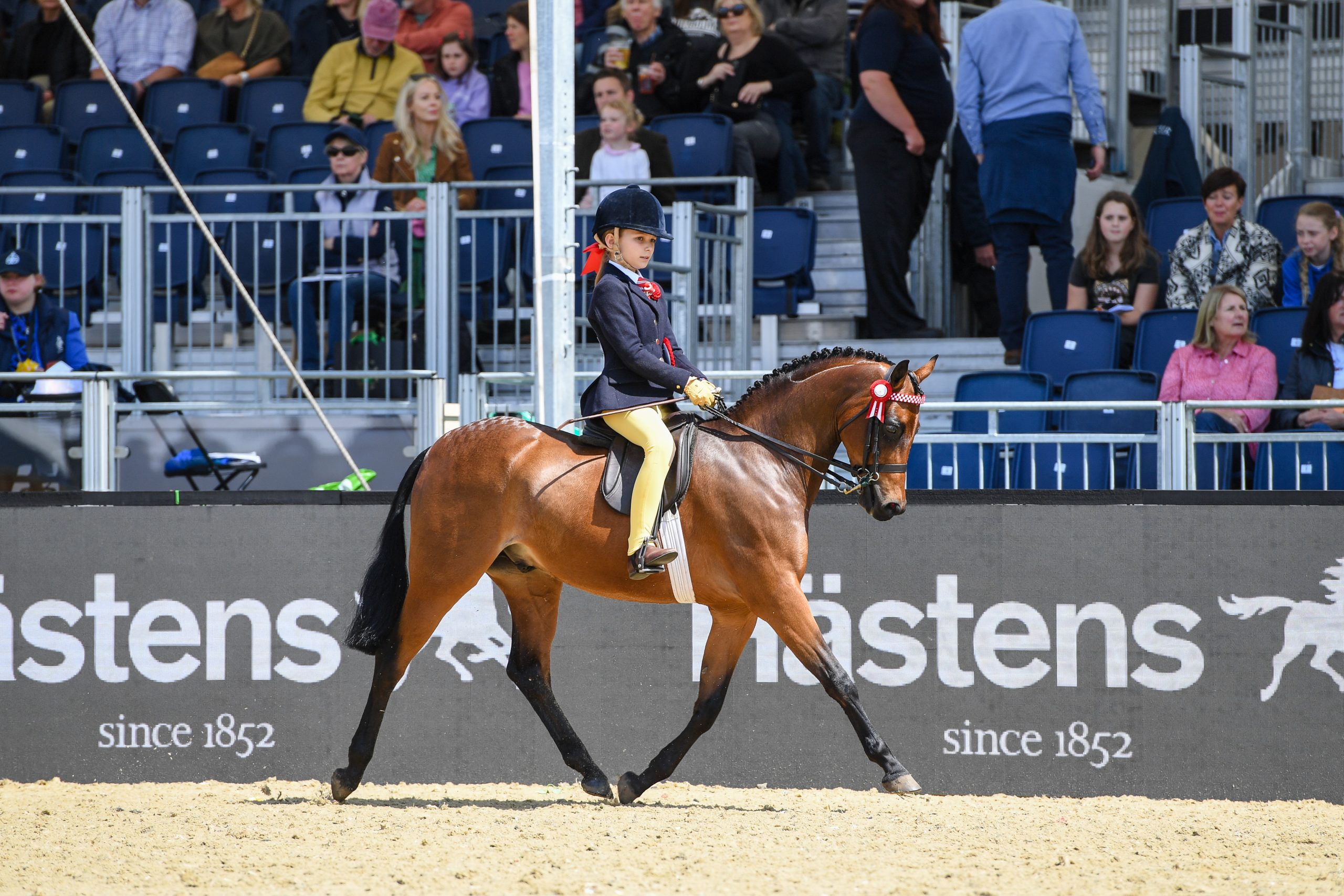 STONELEIGH-LEAD-SHOW-TIME_PETER-NIXON-1-scaled.jpg