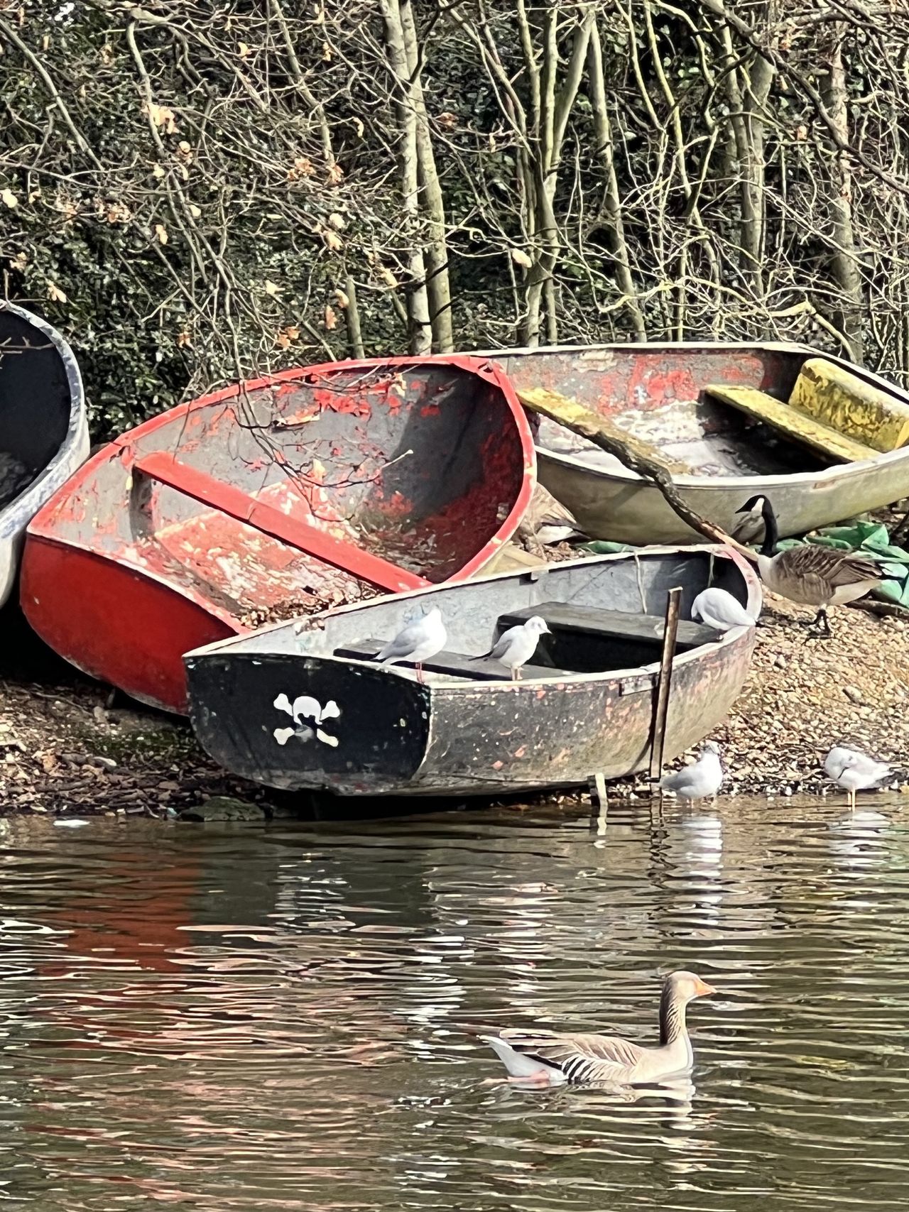 iPhone 14 Pro sample images