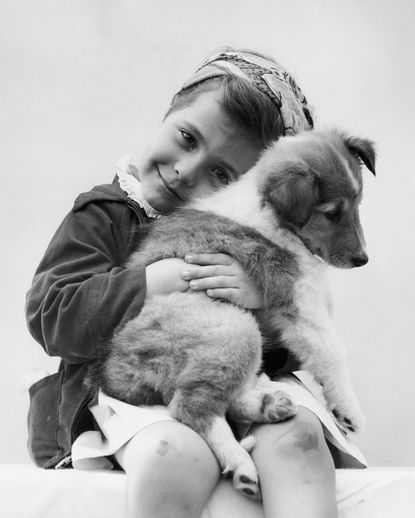 A young girl hugs a forlorn puppy